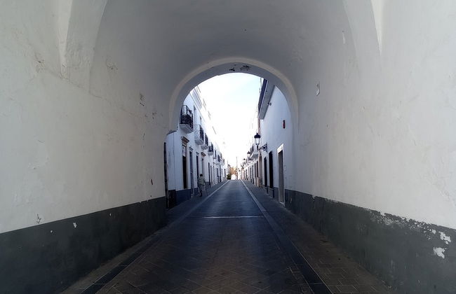 Visita guiada por Olivenza - Foto 3