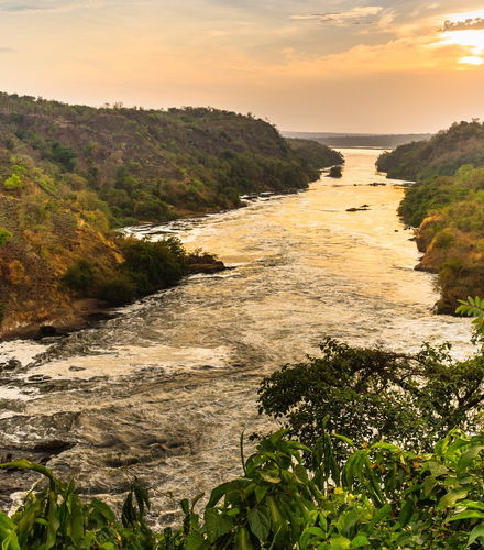 Foto de Safari de 3 días por las Cascadas Murchison