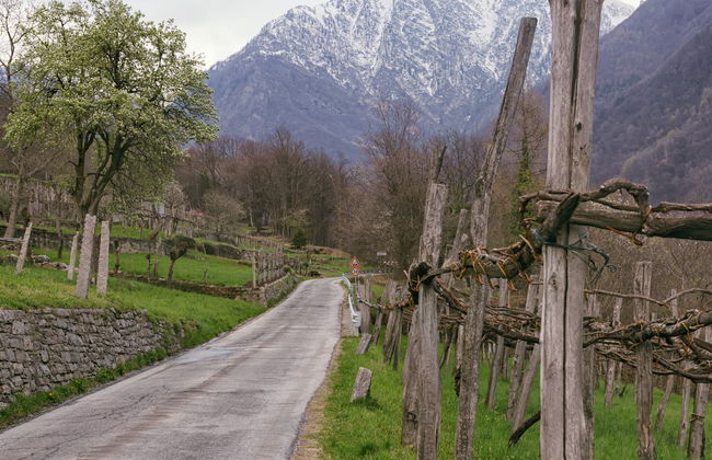 Trilha por Montecrestese + Degustação de vinhos - Foto 5