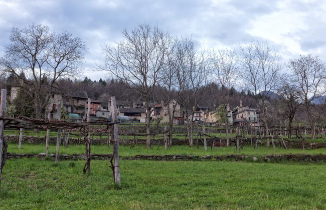 Montecrestese Hiking + Wine Tasting Tour - Photo 7