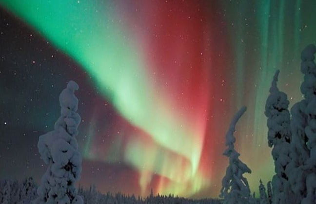 Northern Lights Photo Tour - Photo 5