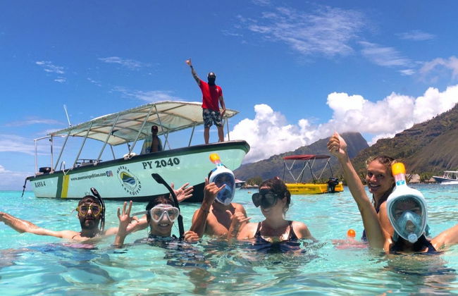 Avistamento de baleias em Moorea - Foto 5