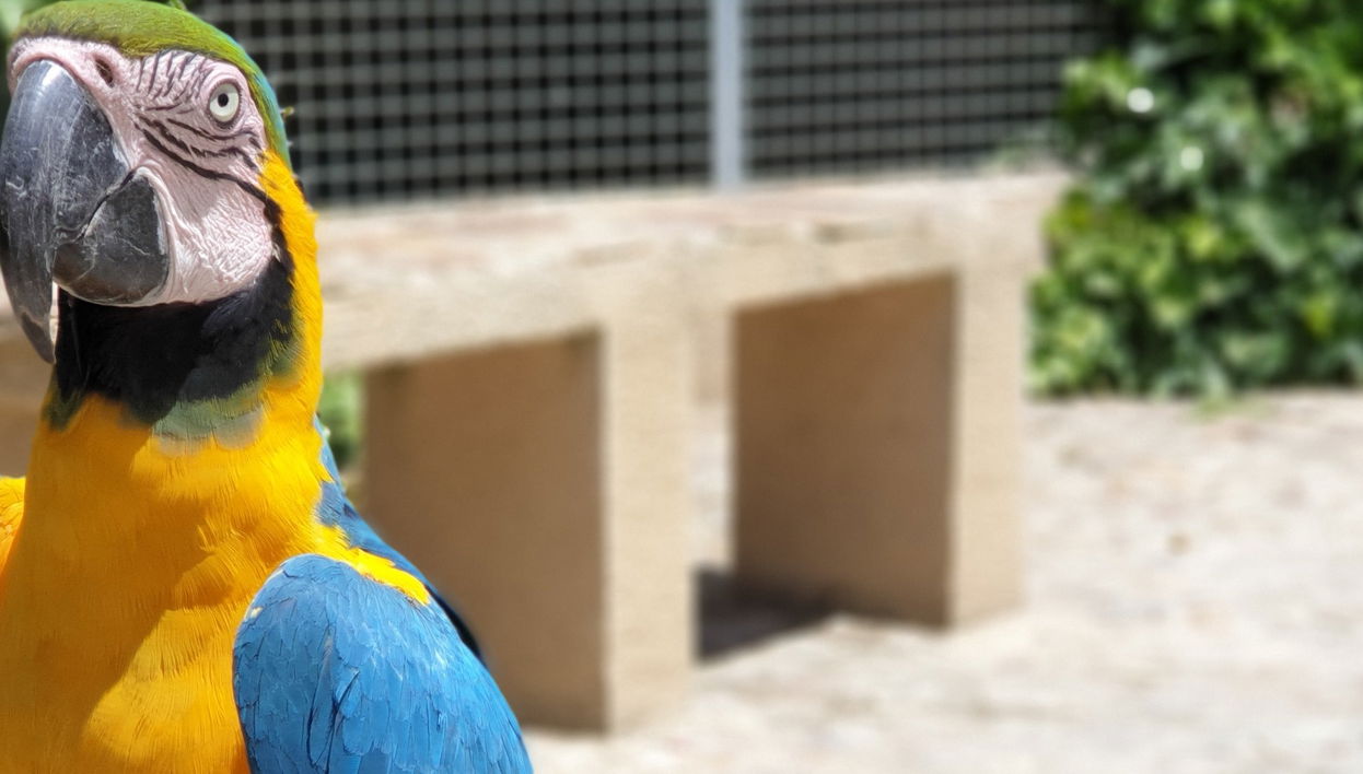 Entrada al Zoo La Era de las Aves