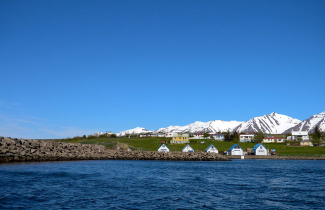 Avistamento de baleias em Árskógssandur - Foto 4
