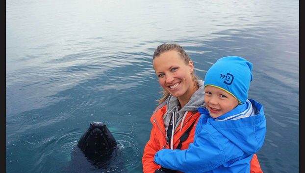 Árskógssandur Whale Watching - Photo 3