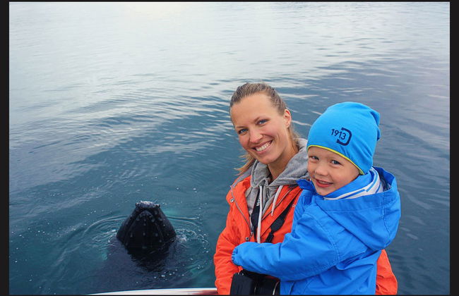 Avistamento de baleias em Árskógssandur - Foto 3