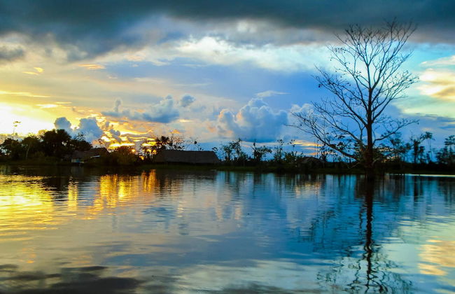 Amazon Jungle Night Hike - Foto 1
