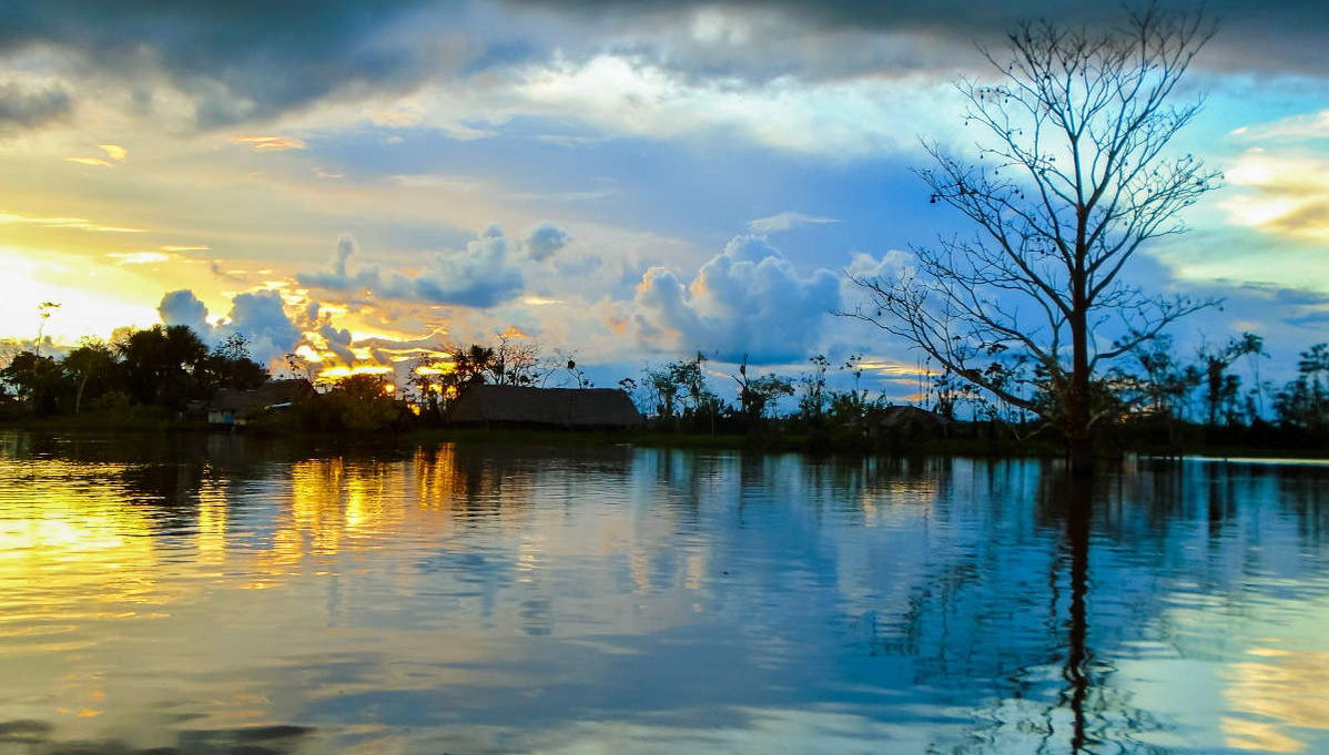 Amazon Jungle Night Hike - Foto 1