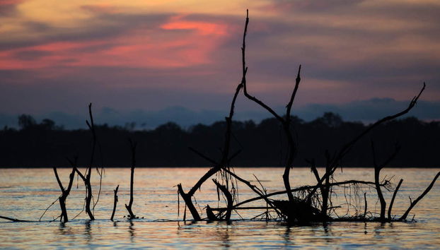 Amazon Jungle Night Hike - Foto 4