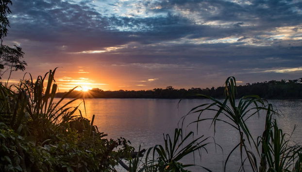 Amazon Jungle Night Hike - Foto 2