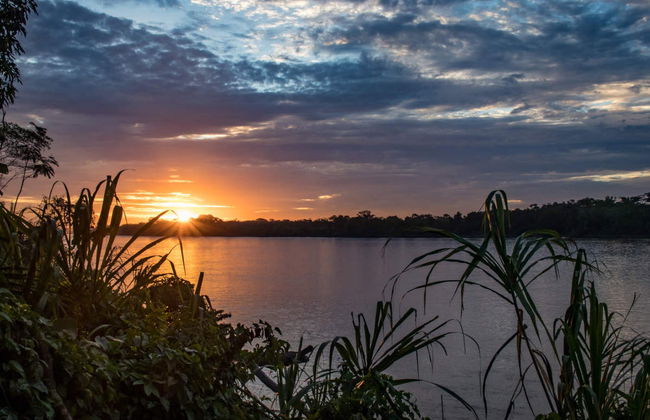 Amazon Jungle Night Hike - Foto 2