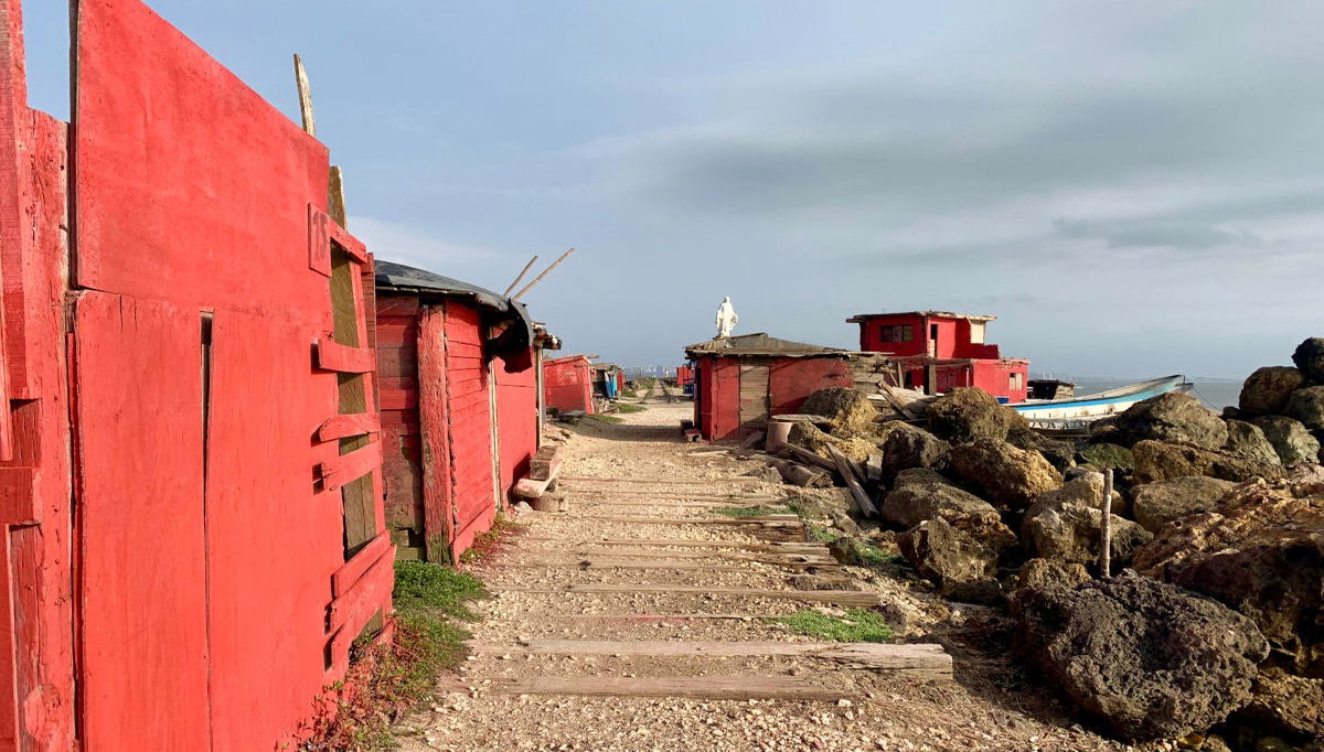 Excursión a Bocas de Ceniza - Foto 1