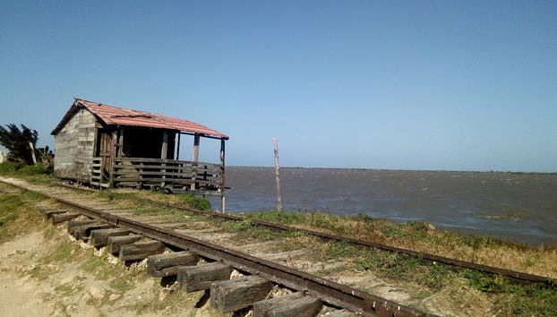 Excursión a Bocas de Ceniza - Foto 3