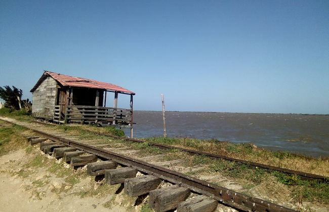 Escursione a Bocas de Ceniza - Foto 3