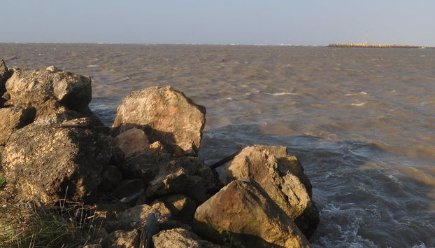 Excursión a Bocas de Ceniza - Foto 4