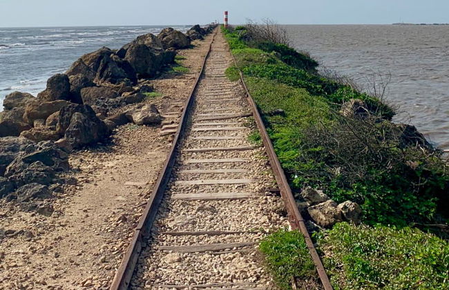 Excursión a Bocas de Ceniza - Foto 4