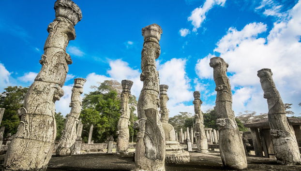 Private Polonnaruwa Excursion + Safari in Minneriya National Park - Photo 5