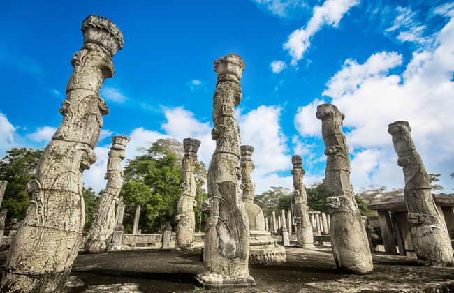 Private Polonnaruwa Excursion + Safari in Minneriya National Park - Photo 5