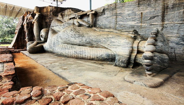 Private Polonnaruwa Excursion + Safari in Minneriya National Park - Photo 2