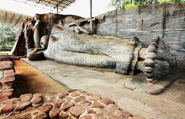 Private Polonnaruwa Excursion + Safari in Minneriya National Park - Photo 2