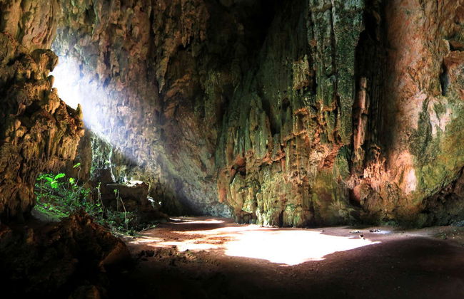 Tirolina y cave tubing en el Parque Jaguar Paw - Foto 5