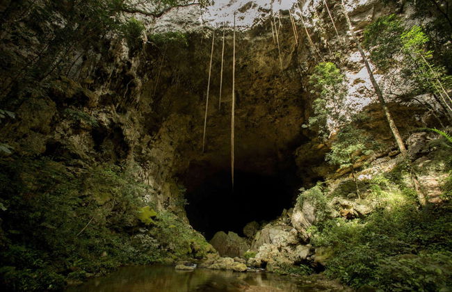 Tirolina y cave tubing en el Parque Jaguar Paw - Foto 6