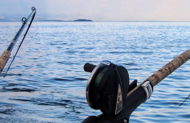 Experiencia privada de pesca en Campeche - Foto 6