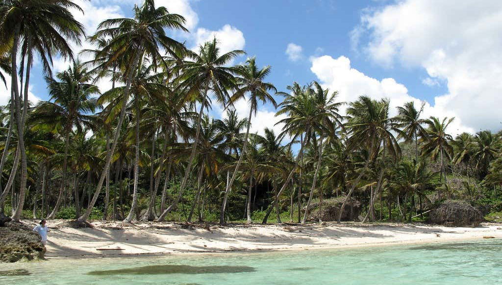 Tour en lancha rápida por las playas de Samaná - Foto 1