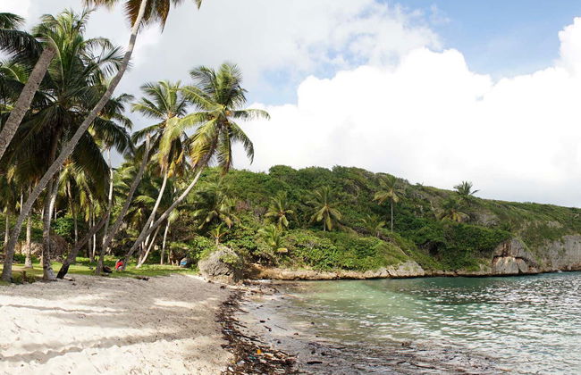 Tour en lancha rápida por las playas de Samaná - Foto 7