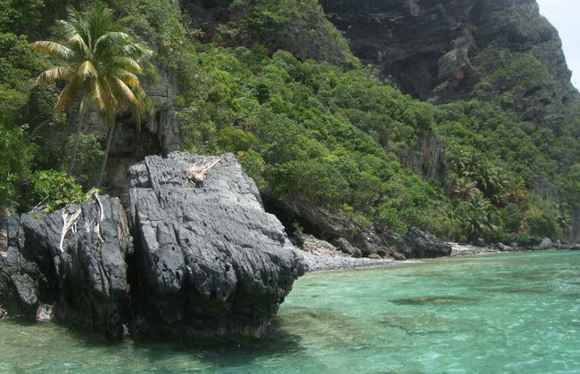 Tour en lancha rápida por las playas de Samaná - Foto 6