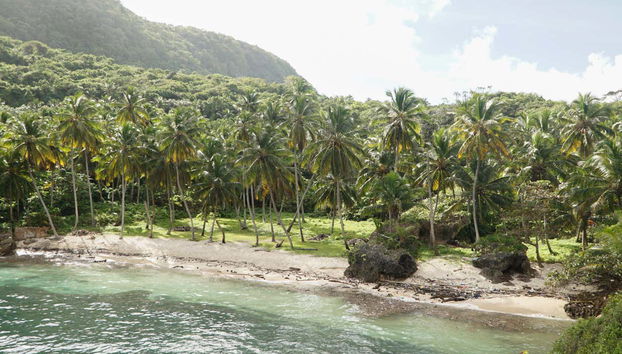 Tour en lancha rápida por las playas de Samaná - Foto 4