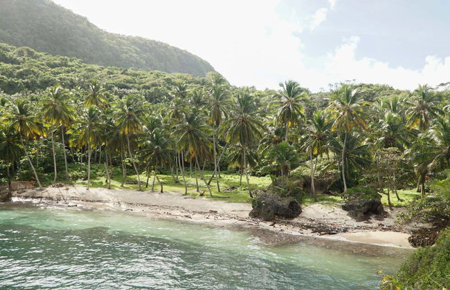 Tour en lancha rápida por las playas de Samaná - Foto 4