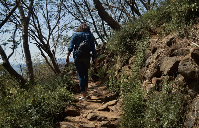 Excursión a Guachimontones - Foto 2