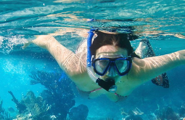 Snorkel en Mirissa - Foto 6