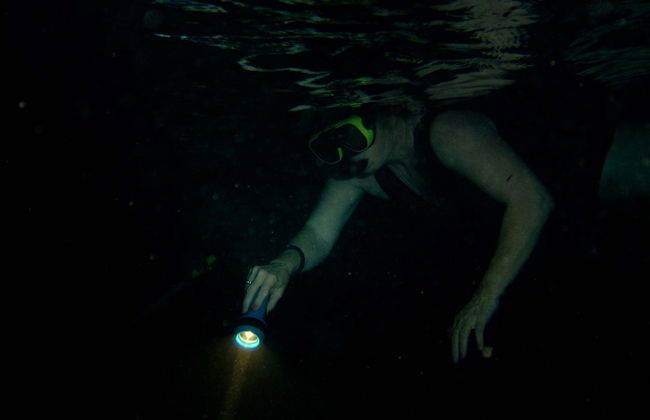 Snorkel en Mirissa - Foto 5