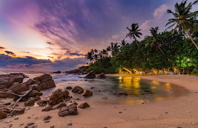 Snorkeling at Mirissa Beach - Foto 6