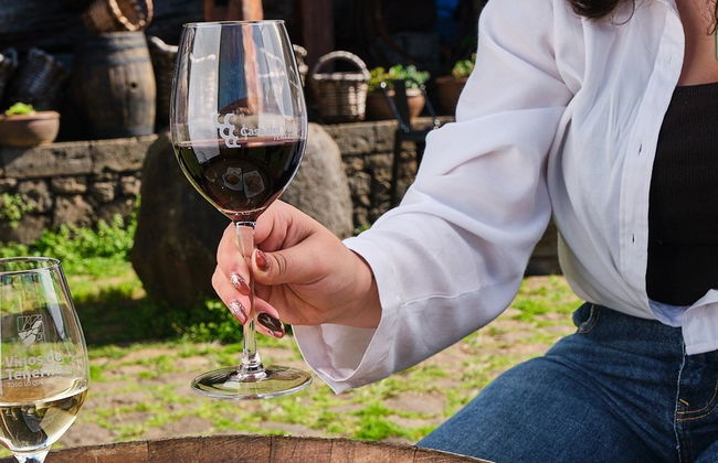 Degustación en la Casa del Vino - Foto 3