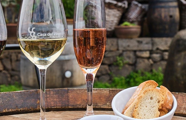 Degustación en la Casa del Vino - Foto 8
