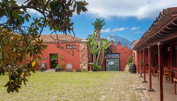 Wine Tasting at the Casa del Vino - Foto 4