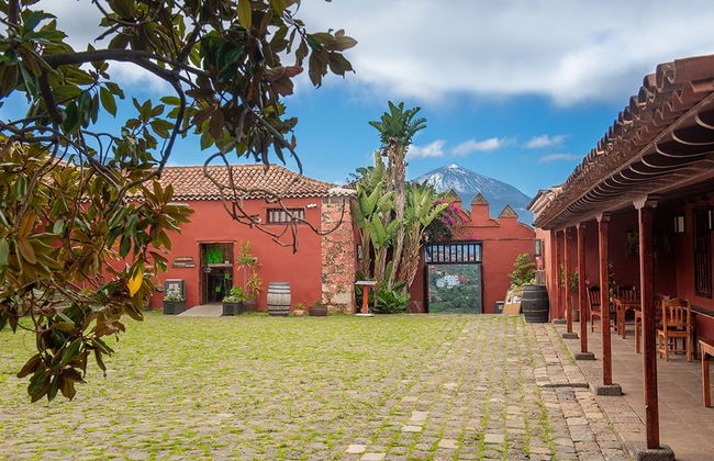Wine Tasting at the Casa del Vino - Foto 4