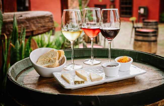 Wine Tasting at the Casa del Vino - Foto 7