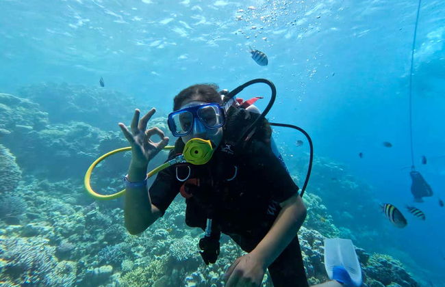 Red Sea Beginners Scuba Diving - Foto 12