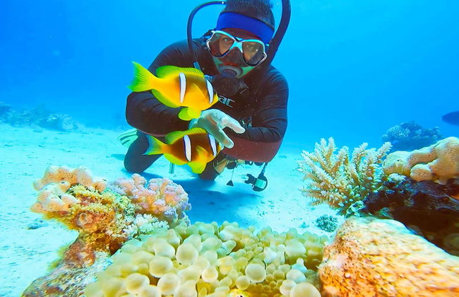 Red Sea Beginners Scuba Diving - Foto 16