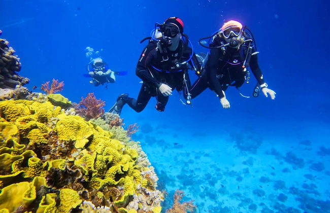 Red Sea Beginners Scuba Diving - Foto 18