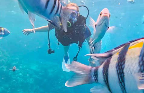 Red Sea Beginners Scuba Diving - Foto 15