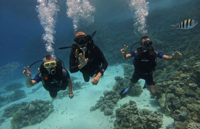 Red Sea Beginners Scuba Diving - Photo 8