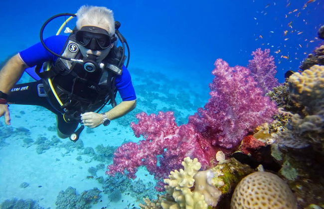 Red Sea Beginners Scuba Diving - Foto 17