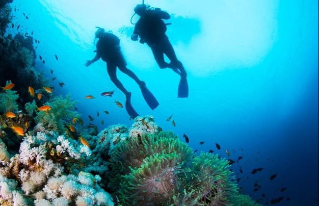 Red Sea Beginners Scuba Diving - Photo 4