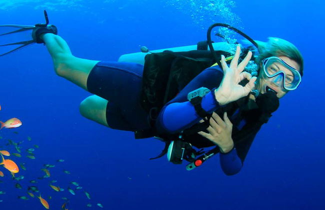Red Sea Beginners Scuba Diving - Photo 20