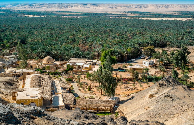 Excursion à l'oasis du Fayoum - Photo 1
